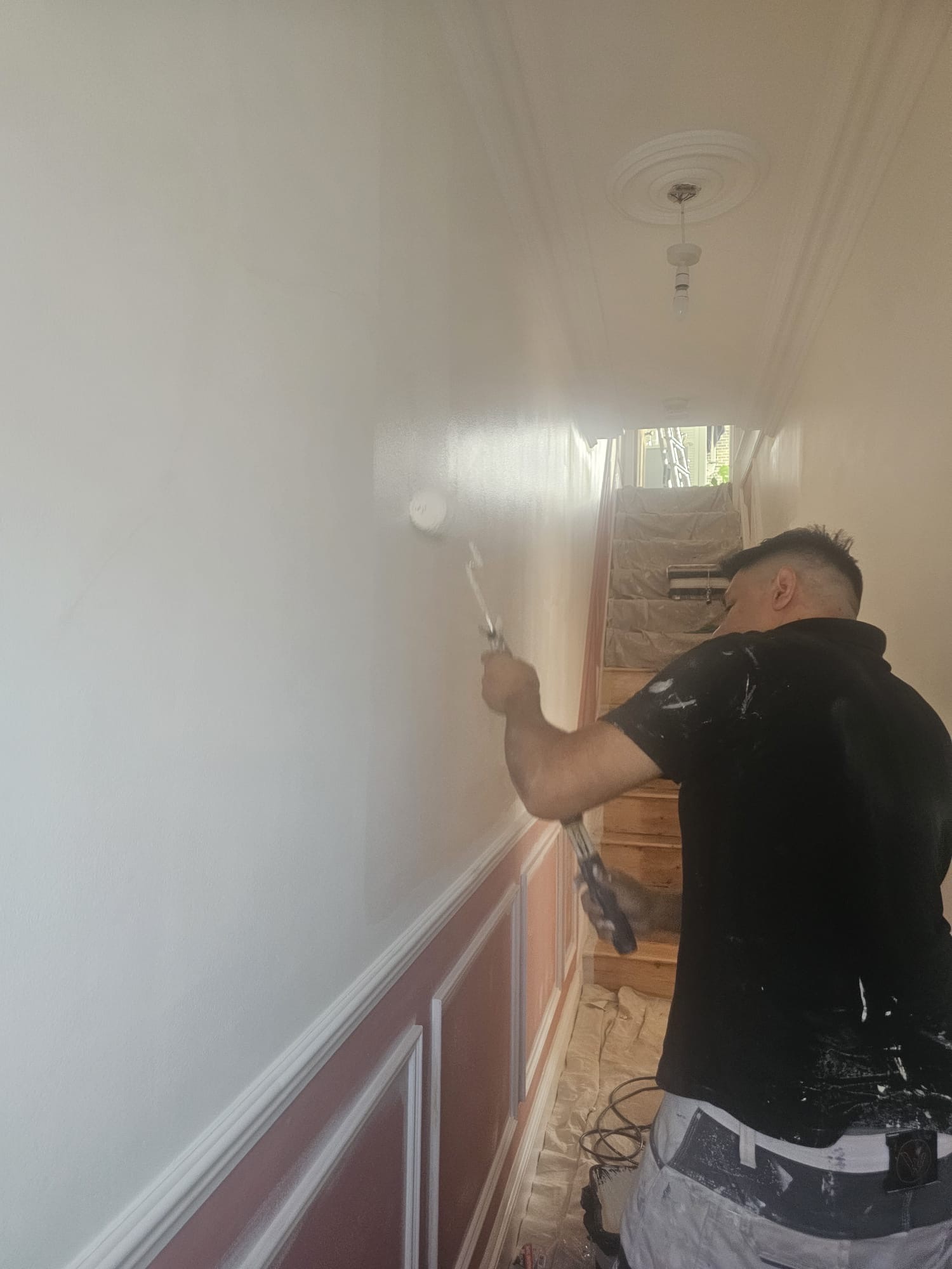 Wall & Ceiling Decoration
