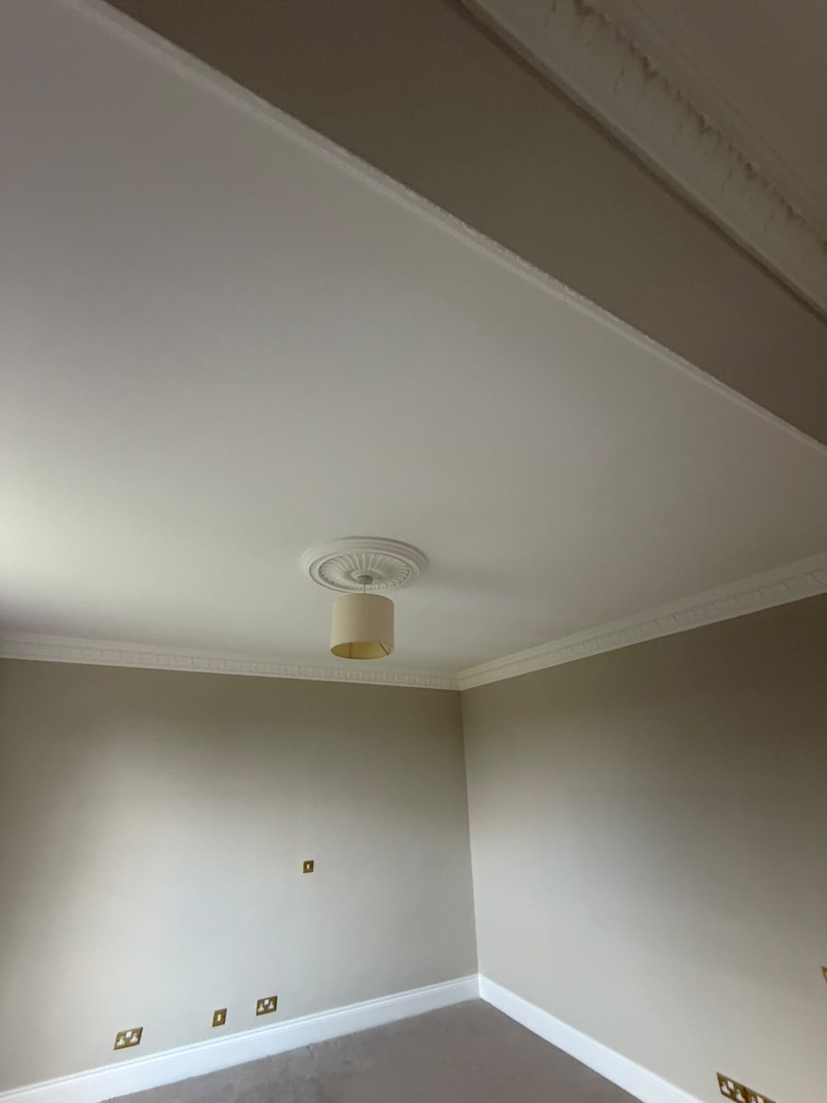 Decorative Cornices & Ceiling Roses