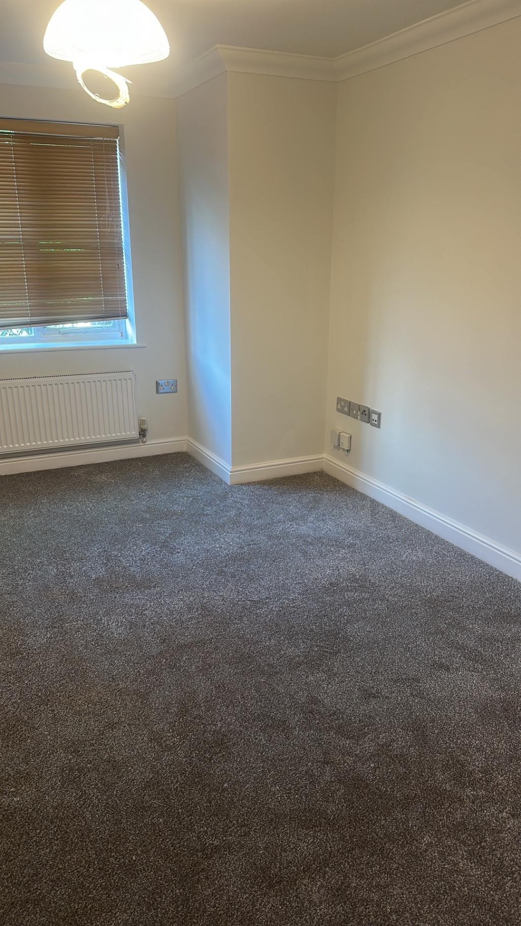 New Carpets & Final Handover