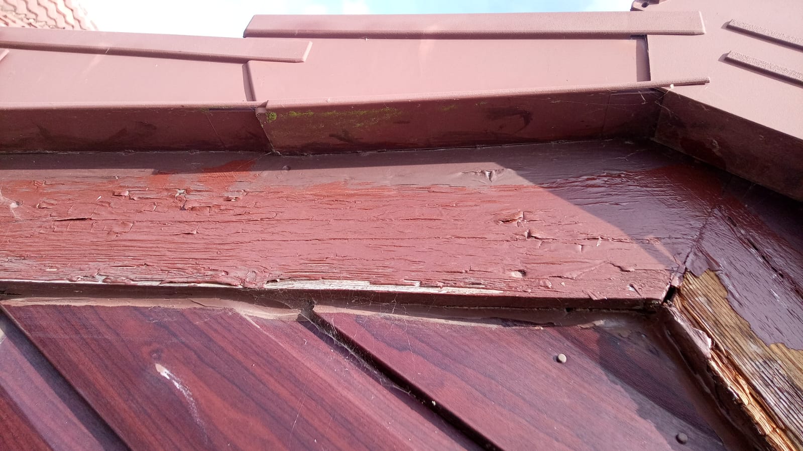 Timber Decay — Windows & Bargeboards
