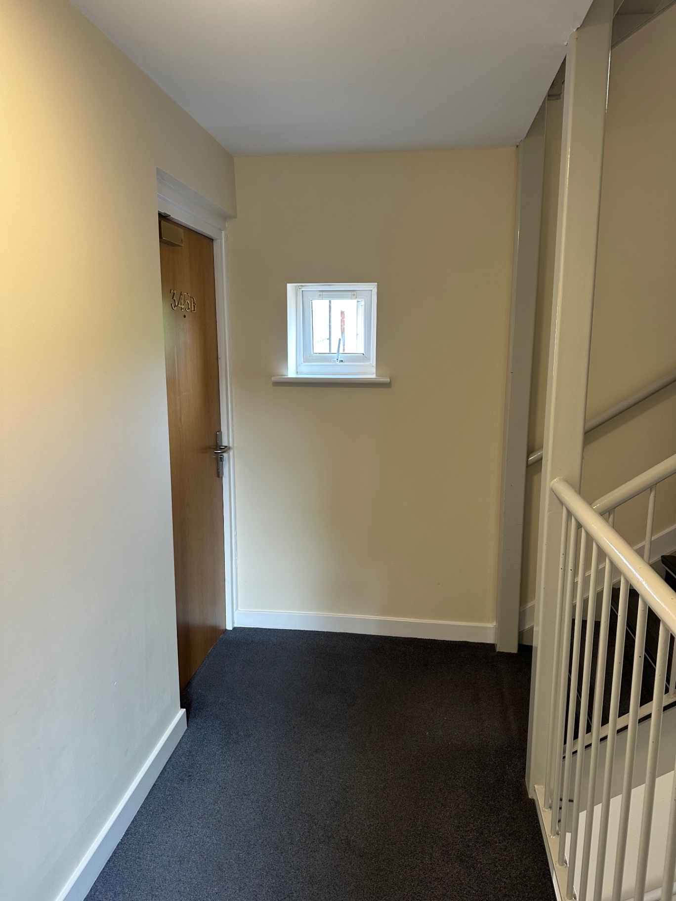Flat entry door lobby with decorated walls, skirting and window reveals