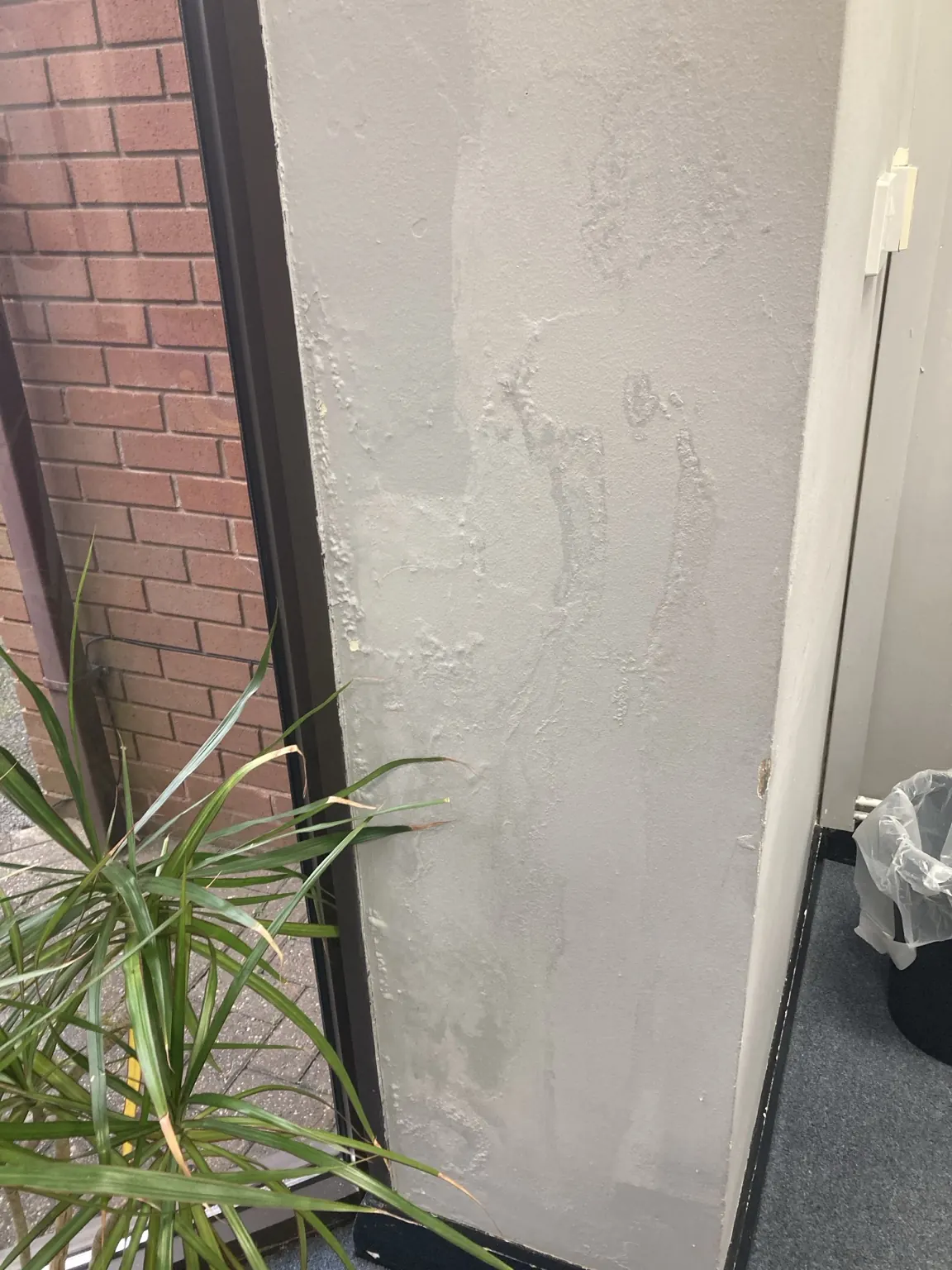 Wall preparation & repairs