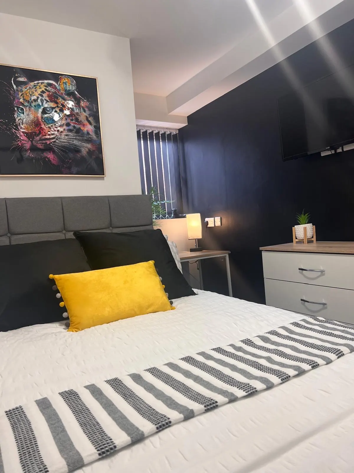 HMO Navy Feature Bedroom