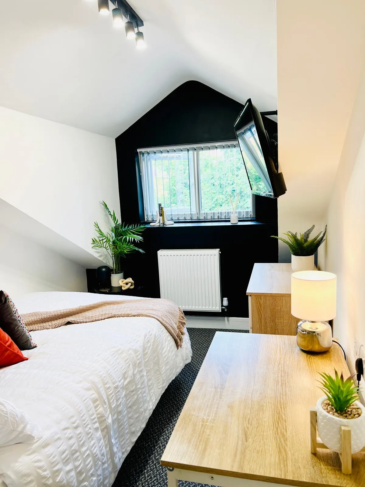 HMO Black Feature Bedroom
